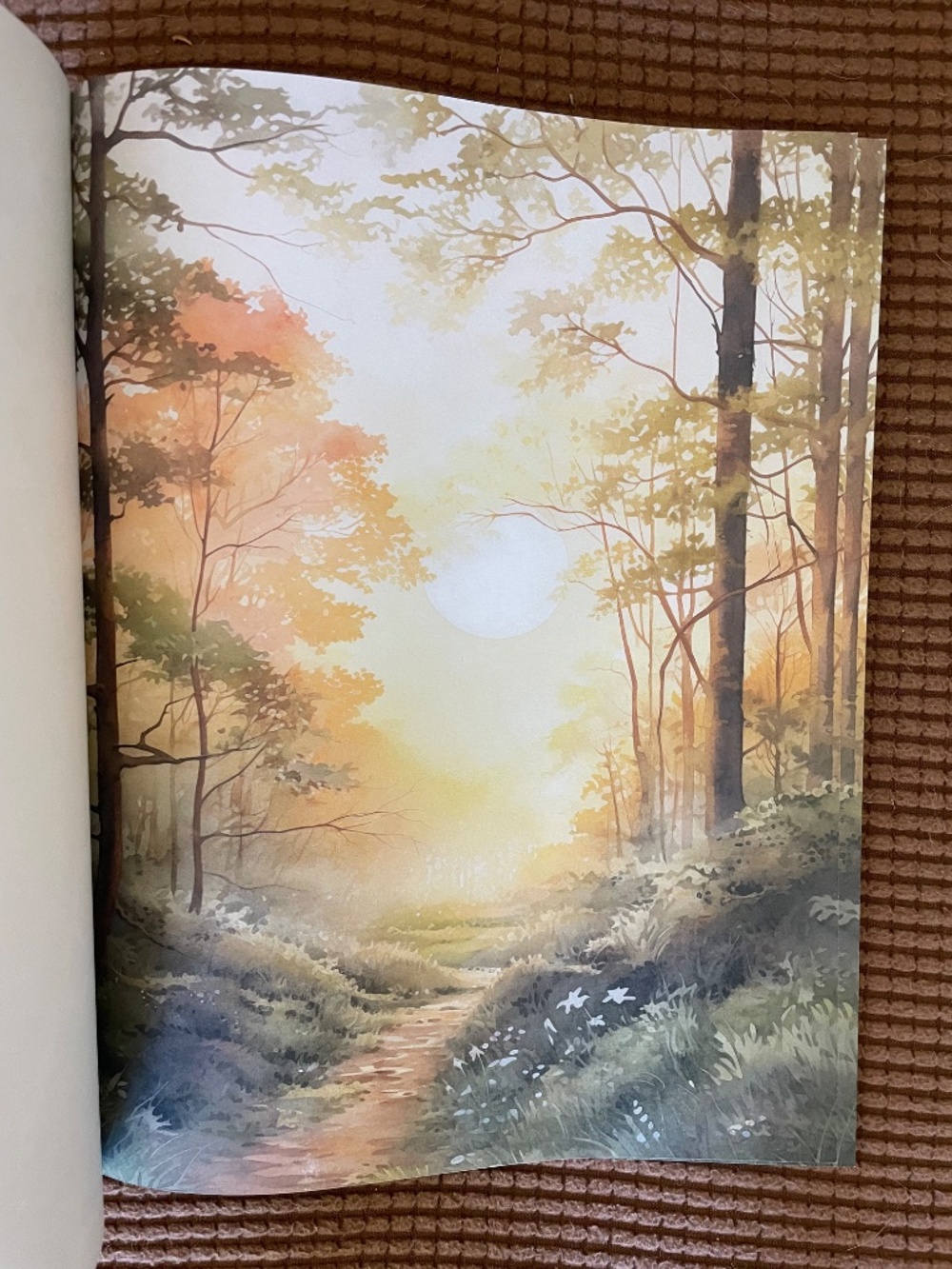 Earth Witch to Cut & Collage Ephemera Collection - Paperback Book - Picture 9 of 15